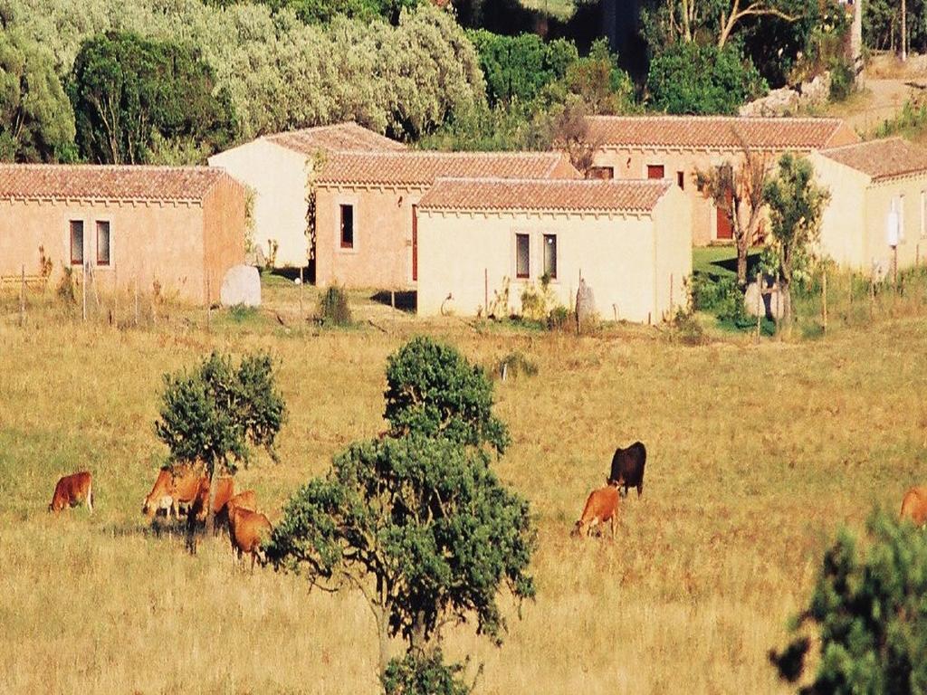 B&B Pubulos Olbia Bagian luar foto
